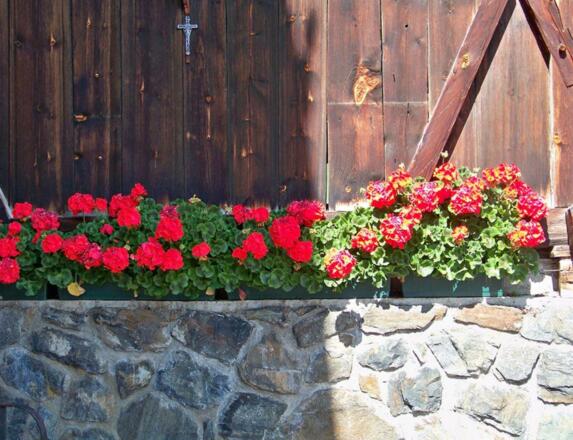 Blumenparadies Terrasse