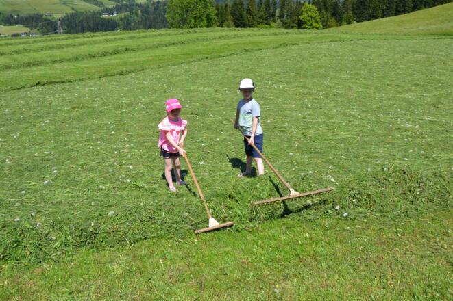 Mithilfe bei der Heuarbeit