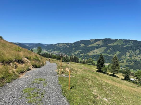 Blick übers Konstanzer Tal