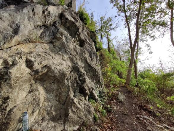 Hängender Stein, schattiges Plätzchen