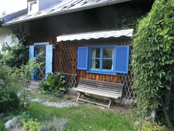 Blick in den Garten