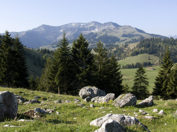 Der Blick vom Arzmoos zum Großen Traithen