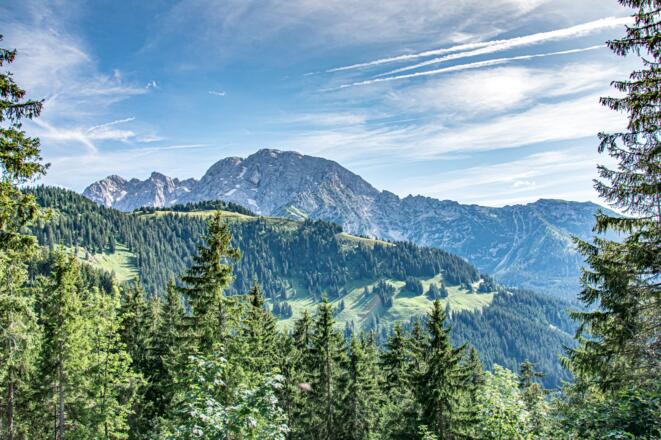 Blick hinauf zum Roßfeld