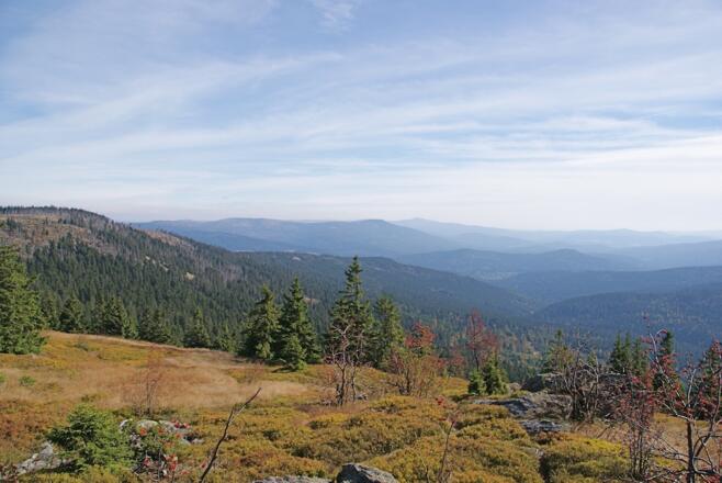 Blick vom Zwercheck zum Gr. Falkenstein und Rachel