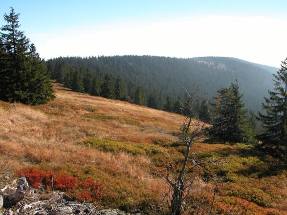 Blick vom Zwercheck zum Grenzkamm Richtung Bayer. Eisenstein