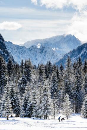 Blick auf die Zugspitze