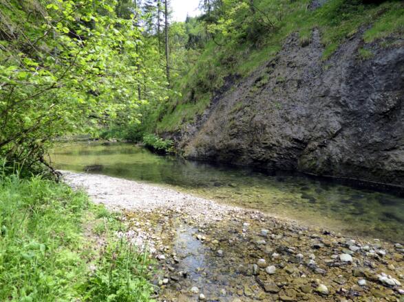 Am Beginn der Weißbachschlucht.