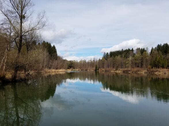 Der Hürdenteich am Beginn der Wanderung.
