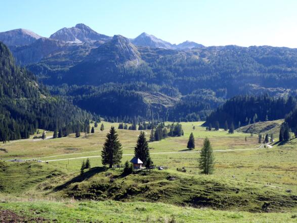 Durch das weitläufige Weidegebiet zwischen Vorder- und Hintergnadenalm führt der Themenweg "Alles Alm".