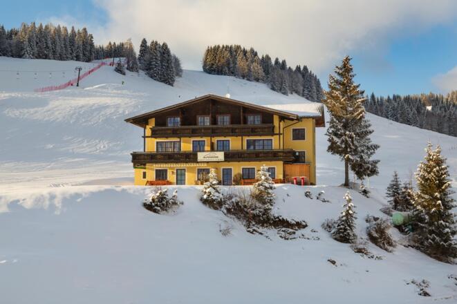 Winter Alpenrose