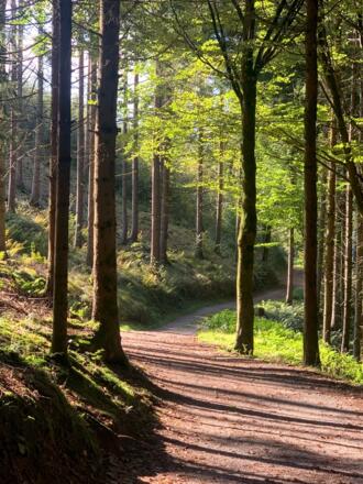 Wanderung zur Schlögener Schlinge