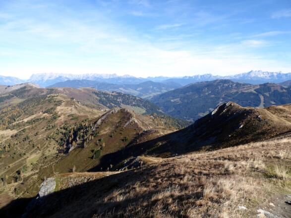 Der Weg vom Gründegg nach Kleinarl führt nordwärts an diesem Kamm entlang.