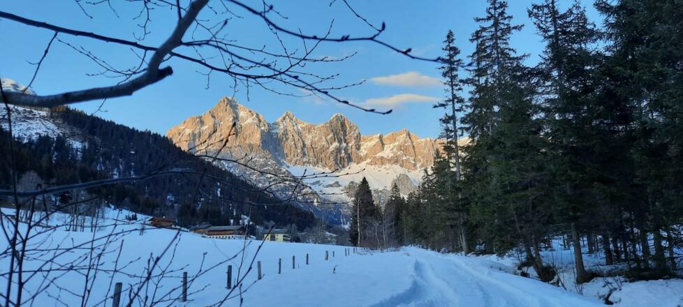 Winterwanderweg Hachau
