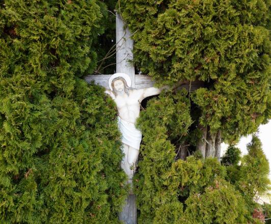 Verstecktes Wegekreuz in Sulzberg: Die Richtung stimmt.