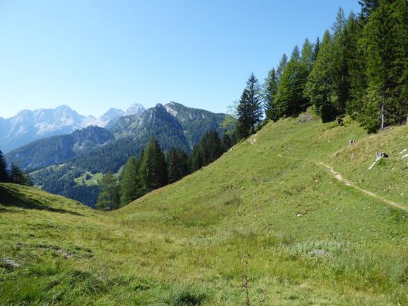 Am Fuß des Dietrichshorn mit Blick auf die Loferer Steinberge.