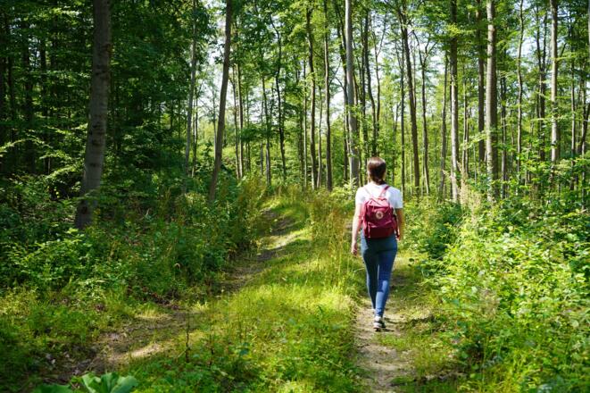 Person beim Wandern