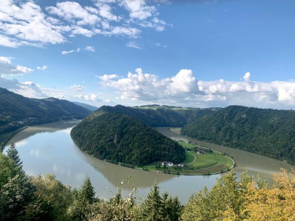 Die Donauschlinge bei Schlögen in Oberösterreich