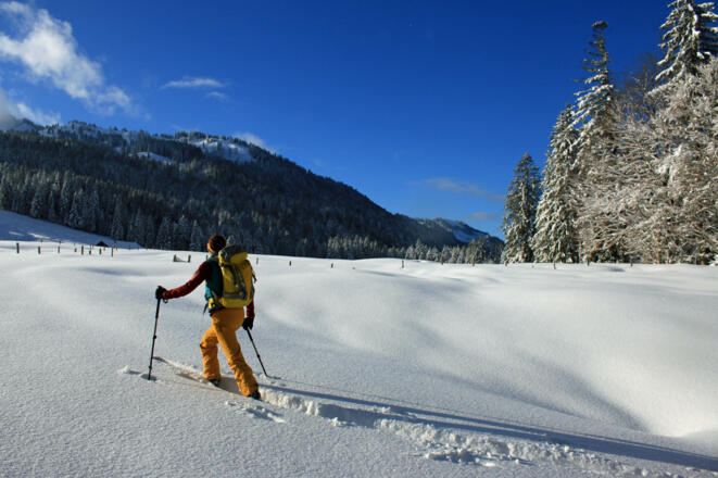 Wintertraum an der Lappachalpe