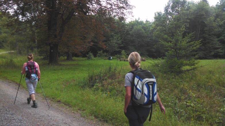 Blick Wiese mit Feuerstelle