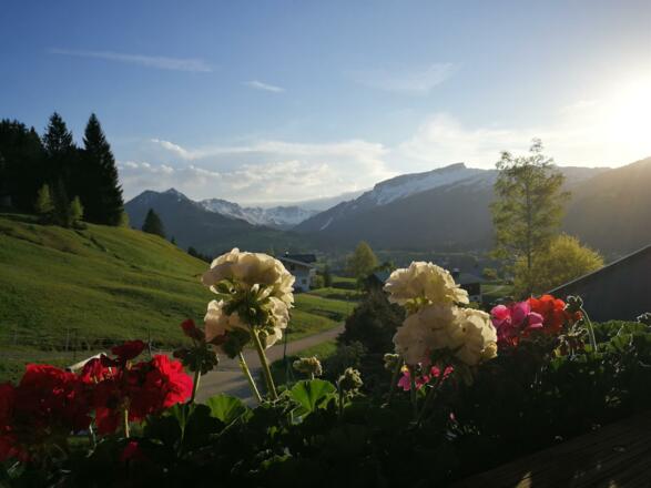 Blick vom Balkon