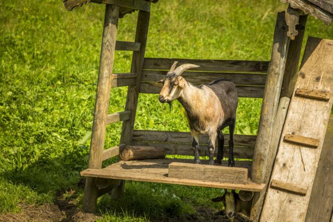 20170827_BambichlgutAussen_117_klein