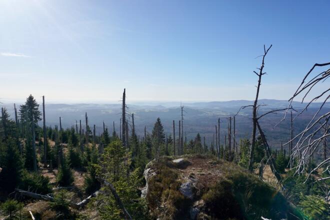 Aussicht vom Plattenhausenriegel