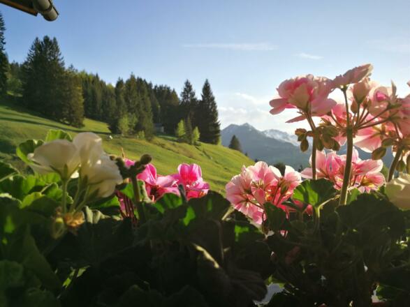 Blick vom Balkon