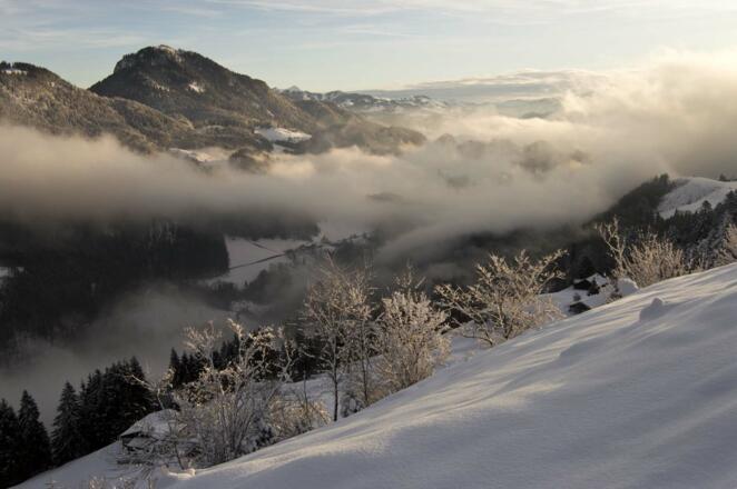 Wenn am Auerberg die Sonne über die Gipfel ansteigt ...
