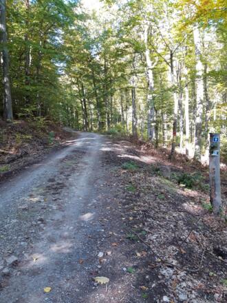 Rhönrundweg 9 Oberelsbach_Schmetterlingslehrpfad_3
