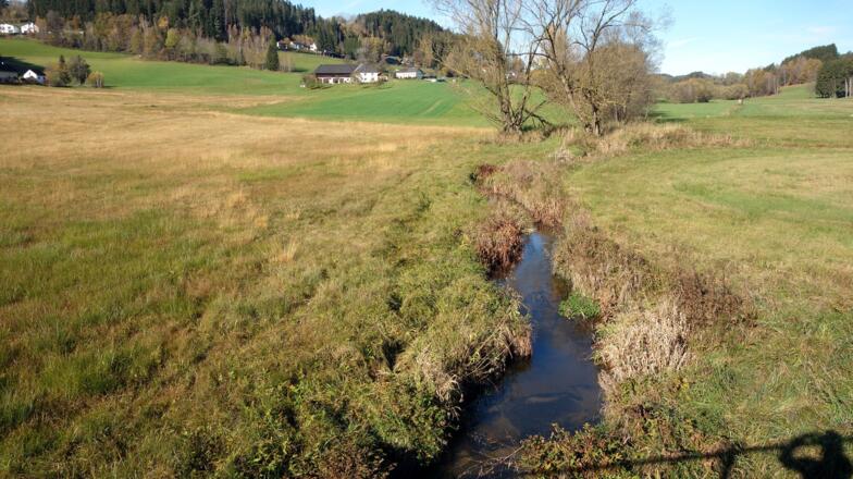 Brückerl Kleine Rodl ~575m