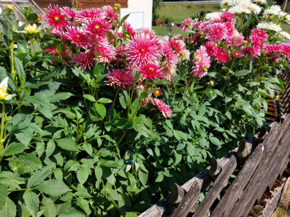 Ferienwohnung Gaul (Riedenburg-Altmühlmünster)