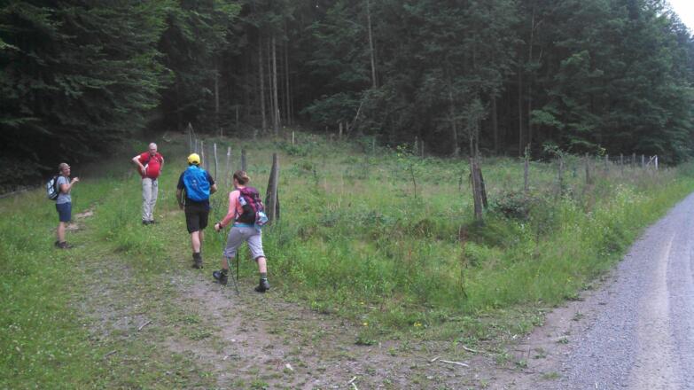 Weiter auf dem "Roten Querstrich" kurz nach der Wiese