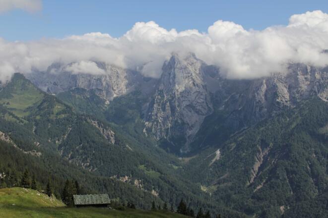 Blick zum Wilden Kaiser an der Hinterkaiserfeldenalm