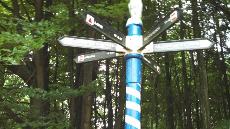 besonderer Wegweiser mit Eule