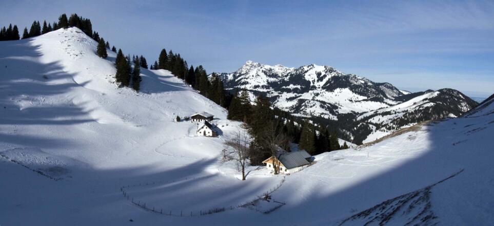 Bei der Seelacher Alm kommt man aus dem Wald heraus.