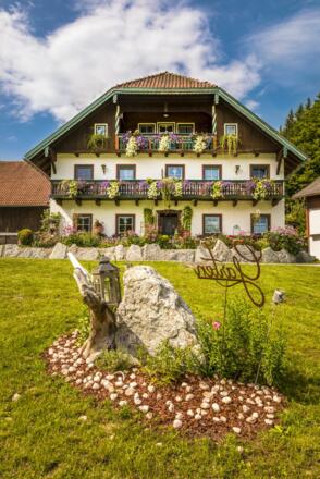 20170827_BambichlgutAussen_041_klein
