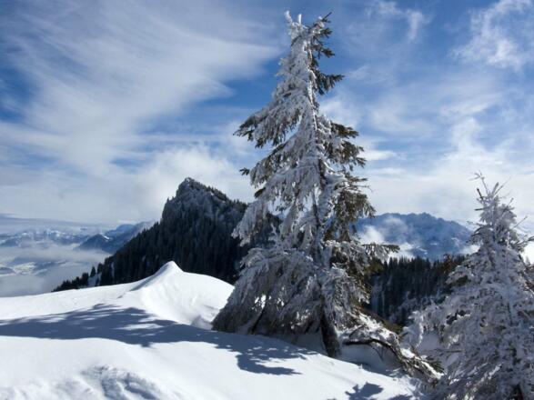 Hier peitscht ausnahmsweise kein Sturm über den Gipfel, und man sieht zum Brünnstein hinüber.
