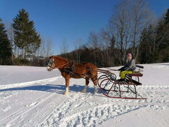 Kutsche Winter