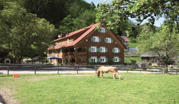 Hotel Gasthaus Schäfle Sommer