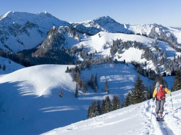 Bald ist die freie Gipfelkuppe erreicht.