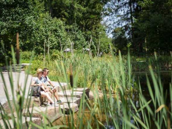 Kleiner Weiher im Asienbereich im Weltwald Freising