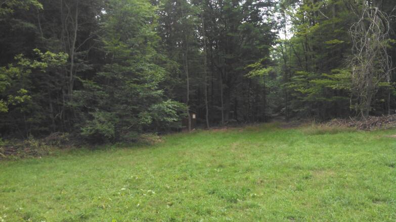 Blick auf Klohäuschen an der Wiese