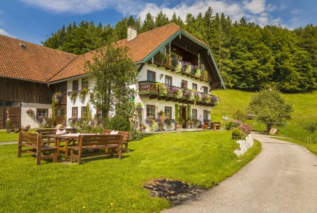 20170827_BambichlgutAussen_048_klein