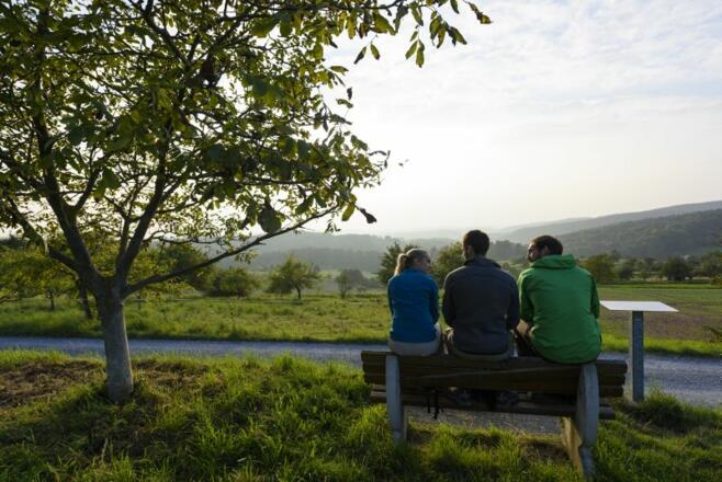 Aussicht bei Volkersbrunn bis in den Odenwald