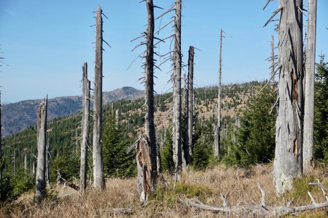 Blick zum großen Spitzberg und Rachel