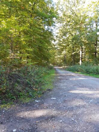 Rhönrundweg 9 Oberelsbach_Schmetterlingslehrpfad_1