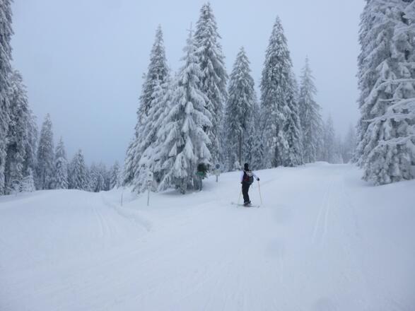 Rechts geht es auf der Loipe zur Chamer Hütte