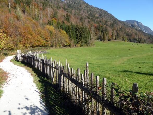 Auch verschiedene Zauntypen werden am Gsengsteig vorgestellt.