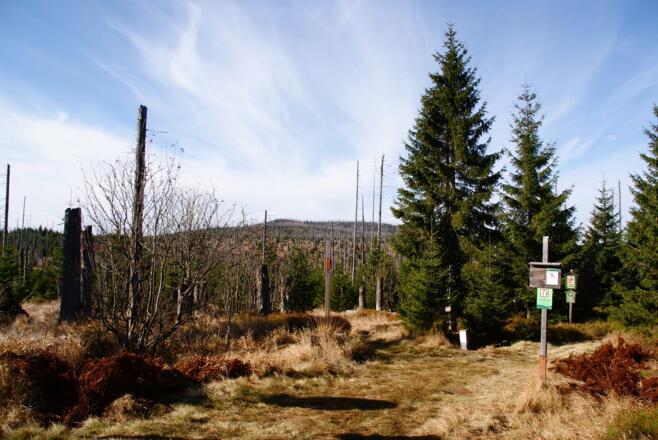 Beginn des Grenzsteigs mit Blick zum kleinen Spitzberg