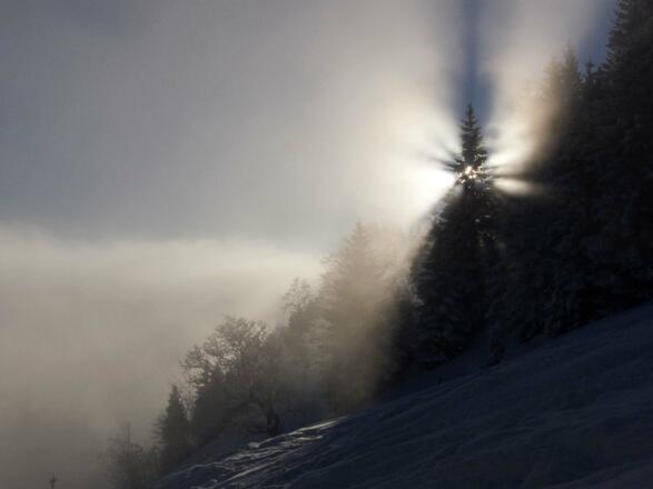 ... zeigen sich oft großartige Lichtstimmungen.